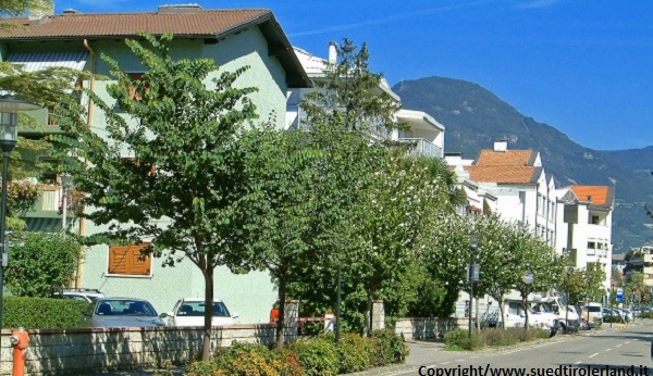 Scopri di più sull'articolo Piazza Don Bosco: troppi 14 mesi per restituirla ai cittadini