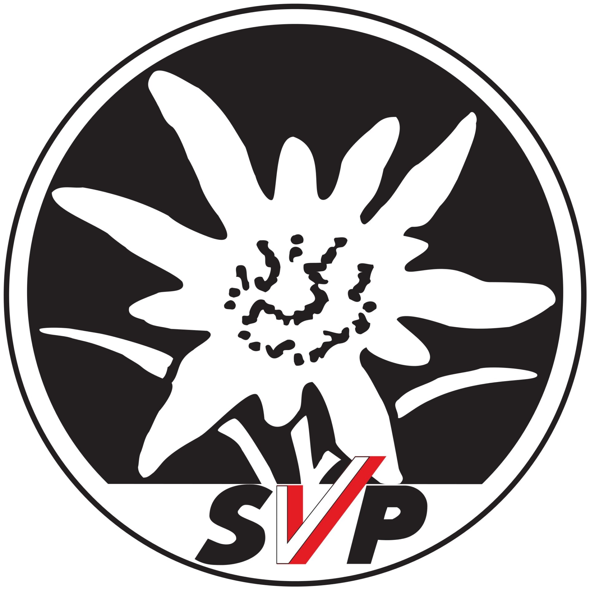 Scopri di più sull'articolo Instrumentalisierung der Erinnerung: Die Soziale Mitte der SVP übt Kritik an Galateos Teilnahme am Fackelumzug mit CasaPound