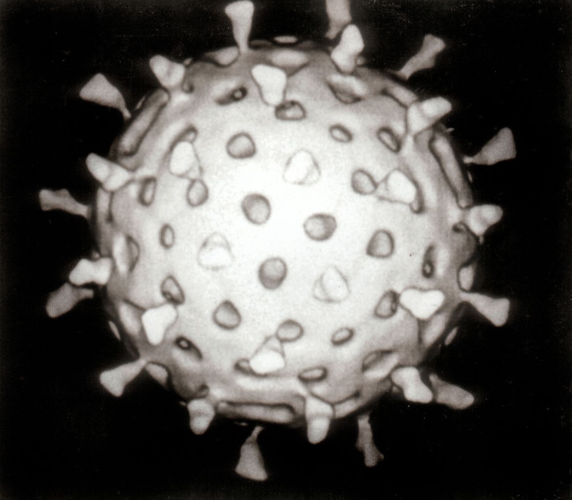 Scopri di più sull'articolo Ärzte raten zur Impfung „ agressiver Rotavirus (Darmgrippe)“