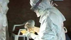 Mehr über den Artikel erfahren Tödliches Virus: WHO ruft wegen Ebola globalen Notstand aus