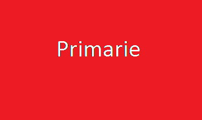 Scopri di più sull'articolo Primarie, scherzo di Carnevale ?