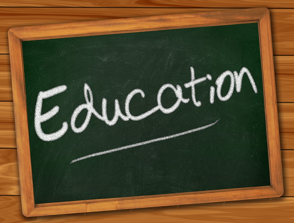 Mehr über den Artikel erfahren Il sistema scolastico italiano tra statistiche, economia e prospettive future