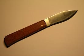 Scopri di più sull'articolo Alto Adige. Uccide con una coltellata la compagna ospite in casa di riposo.