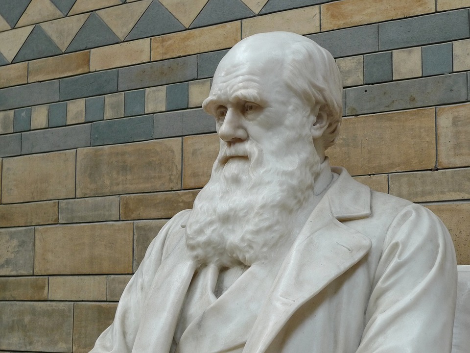Scopri di più sull'articolo Charles Darwin „Türkei streicht „kontroverse“ Evolutionstheorie aus dem Lehrplan