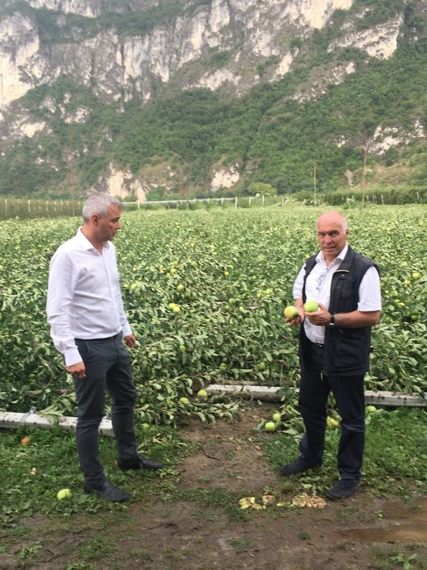 Scopri di più sull'articolo Panizza e Ossanna del PATT incontrano gli agricoltori colpiti dalla grandine e dal vento