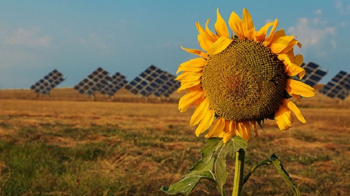 Scopri di più sull'articolo L’ Italia e le politiche green: molto da insegnare in Europa