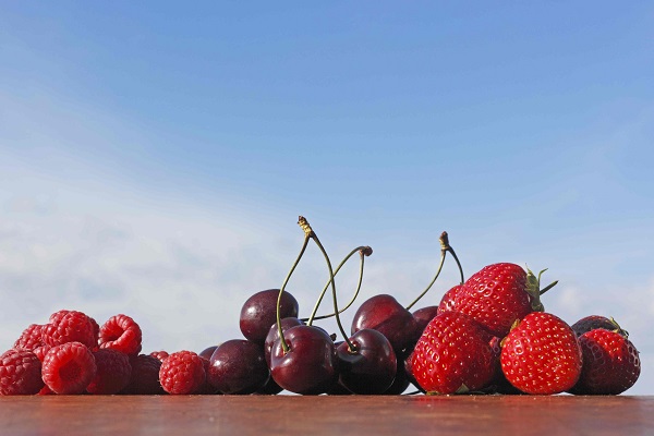 Mehr über den Artikel erfahren Alimentazione. Ciliegie e acqua fan venire il mal di pancia?