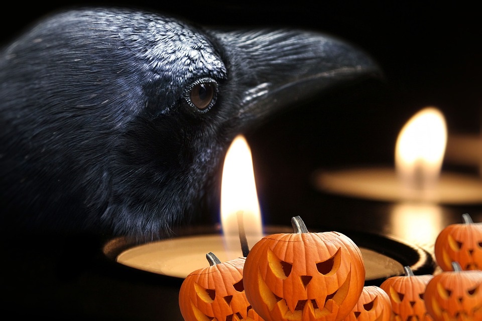 Scopri di più sull'articolo Halloween, le streghe non c’entrano