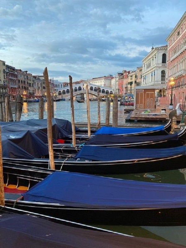 Scopri di più sull'articolo I NUOVI CONFINI DELLA CONVIVENZA – LA BIENNALE 2021