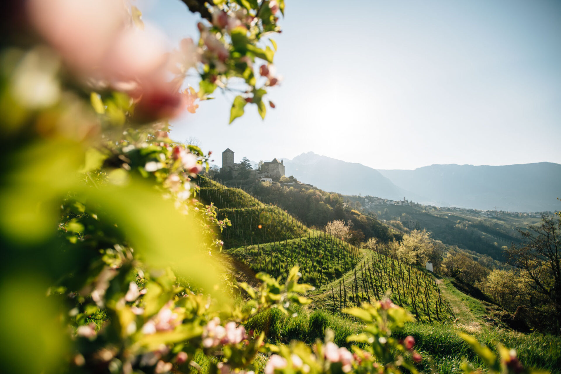 Scopri di più sull'articolo “Primavera Culturale” a Tirolo