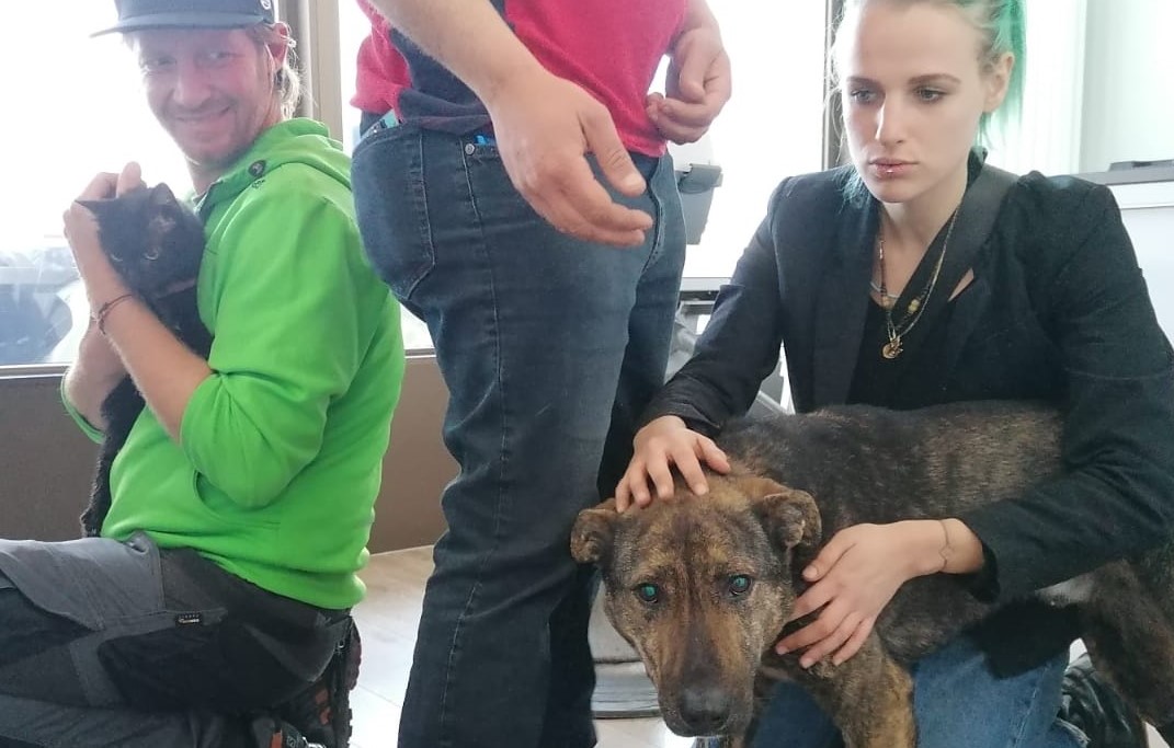 Scopri di più sull'articolo Cane e Gatto dall’Ucraina giungono a Bolzano dove saranno adottati