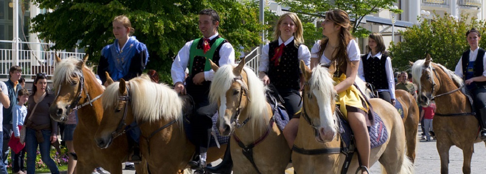 Mehr über den Artikel erfahren Tornano le corse dei cavalli Haflinger a Merano