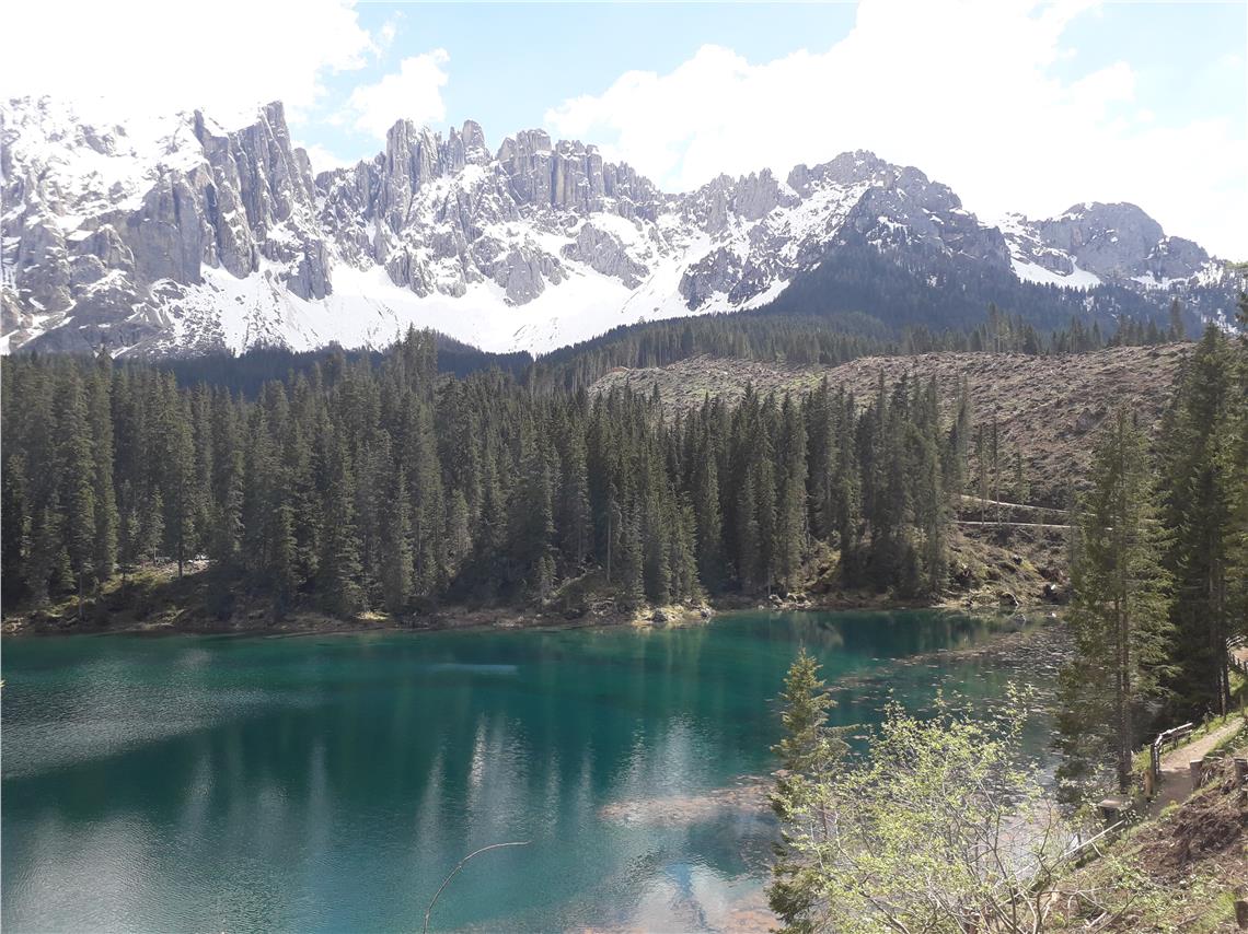 Scopri di più sull'articolo Ambiente, accordo Niederstätter-Nova Levante: i mezzi elettrici contribuiscono a far rinascere la foresta distrutta da Vaia