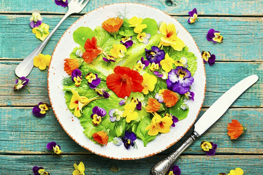 Mehr über den Artikel erfahren Fiori nel piatto: in 10 anni aziende aumentate del 600% , 1600 le specie commestibili, cresce un business per trend che esplode