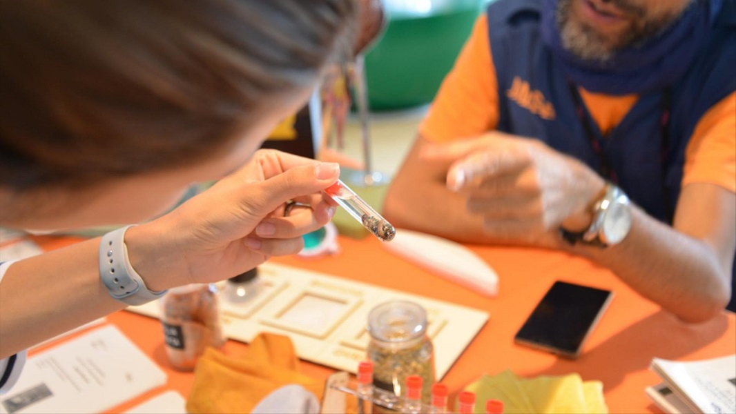 Scopri di più sull'articolo “Elettromakers”, lotta ai rifiuti e stagni urbani: ecco le nuove proposte del MUSE per la scuola