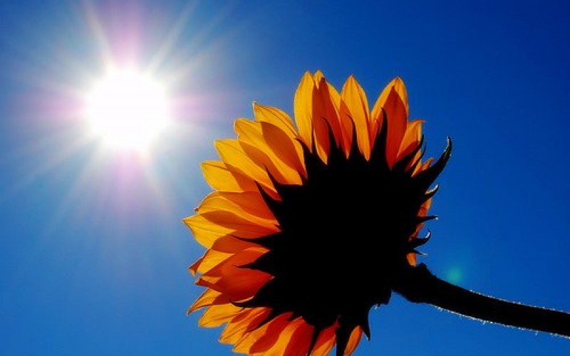 Scopri di più sull'articolo Il tempo nei prossimi giorni