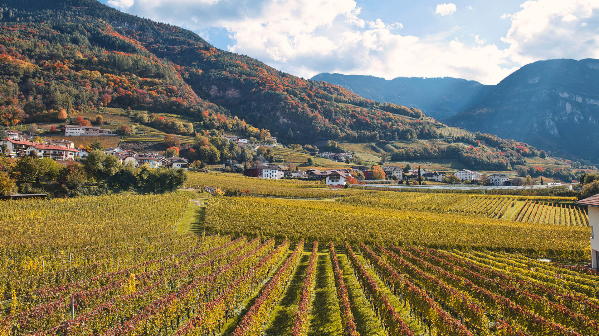 Mehr über den Artikel erfahren Il comune di Montagna cambia nome in “Montagna sulla Strada del Vino”