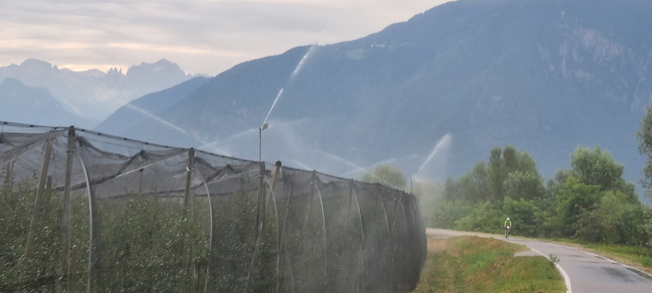 Scopri di più sull'articolo La Giunta provinciale modifica e adegua i criteri di concessione degli aiuti nel settore agricolo