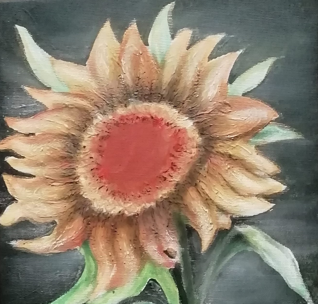 Scopri di più sull'articolo Bolzano, Antonella Liboria Palermo espone tra il verde degli ulivi e il rosa dei fiori