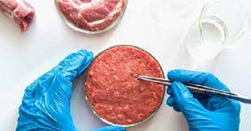Scopri di più sull'articolo Sulla carne sintetica dal Governo un provvedimento fake, Unterberger (SVP)