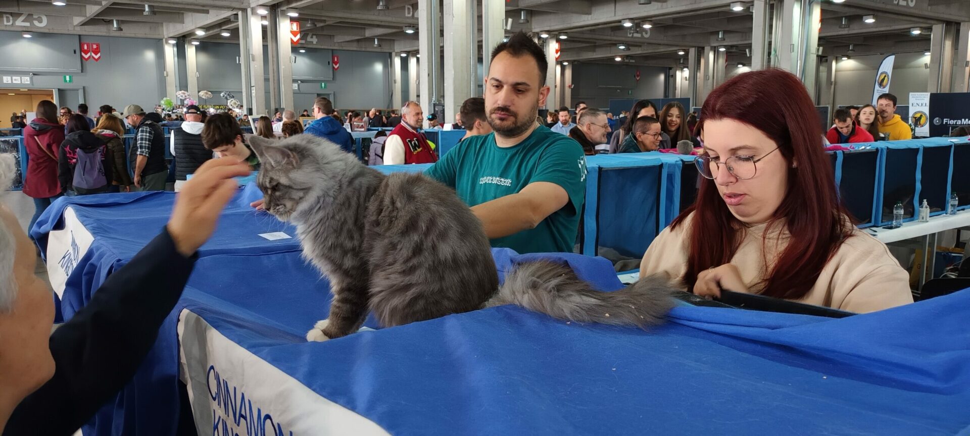 Mehr über den Artikel erfahren Grande successo per la fiera dei gatti, bolzanini veri gattofili