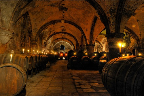 Scopri di più sull'articolo Trento, esposizione di “vini eroici” a Palazzo Roccabruna