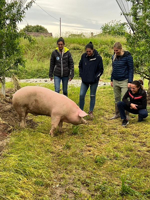 Mehr über den Artikel erfahren “Salviamo gli animali dall’alluvione”, SOS dalla clinica veterinaria Centro Storico Bolzano