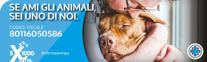 Mehr über den Artikel erfahren Cittadini e plantigradi, ENPA sollecita ad attuare le opere di prevenzione