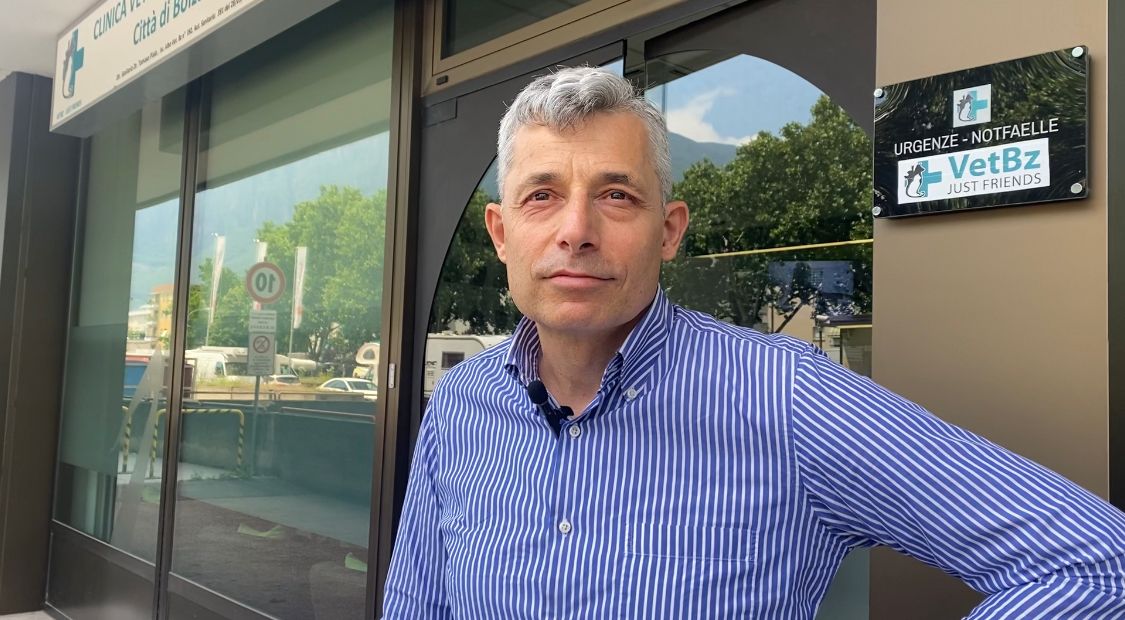Mehr über den Artikel erfahren Luminare della FIP del gatto a Bolzano: “Il Covid ha aiutato lo studio di questa infezione”