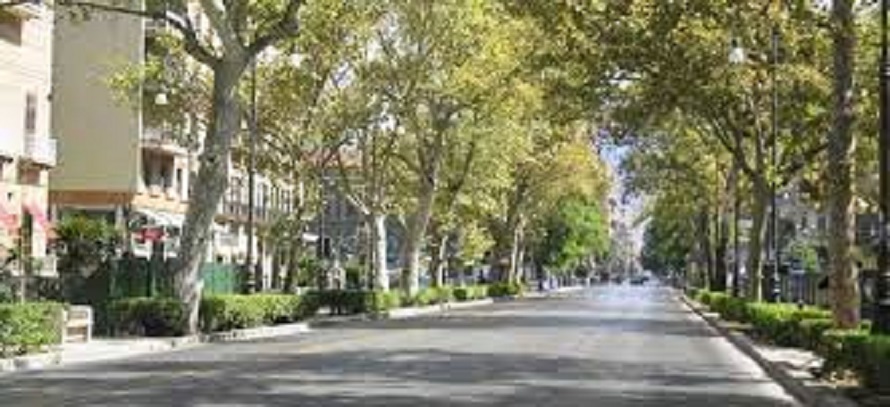 Mehr über den Artikel erfahren Più alberi per città più vivibili, i suggerimenti dei Verdi