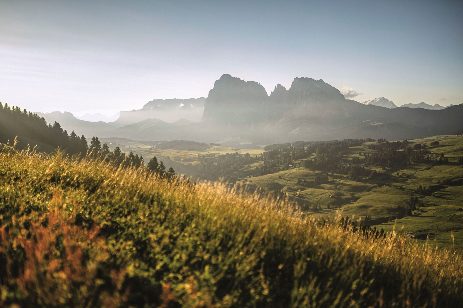 Scopri di più sull'articolo “Marchio Sostenibilità Alto Adige”: il bilancio dei primi sei mesi