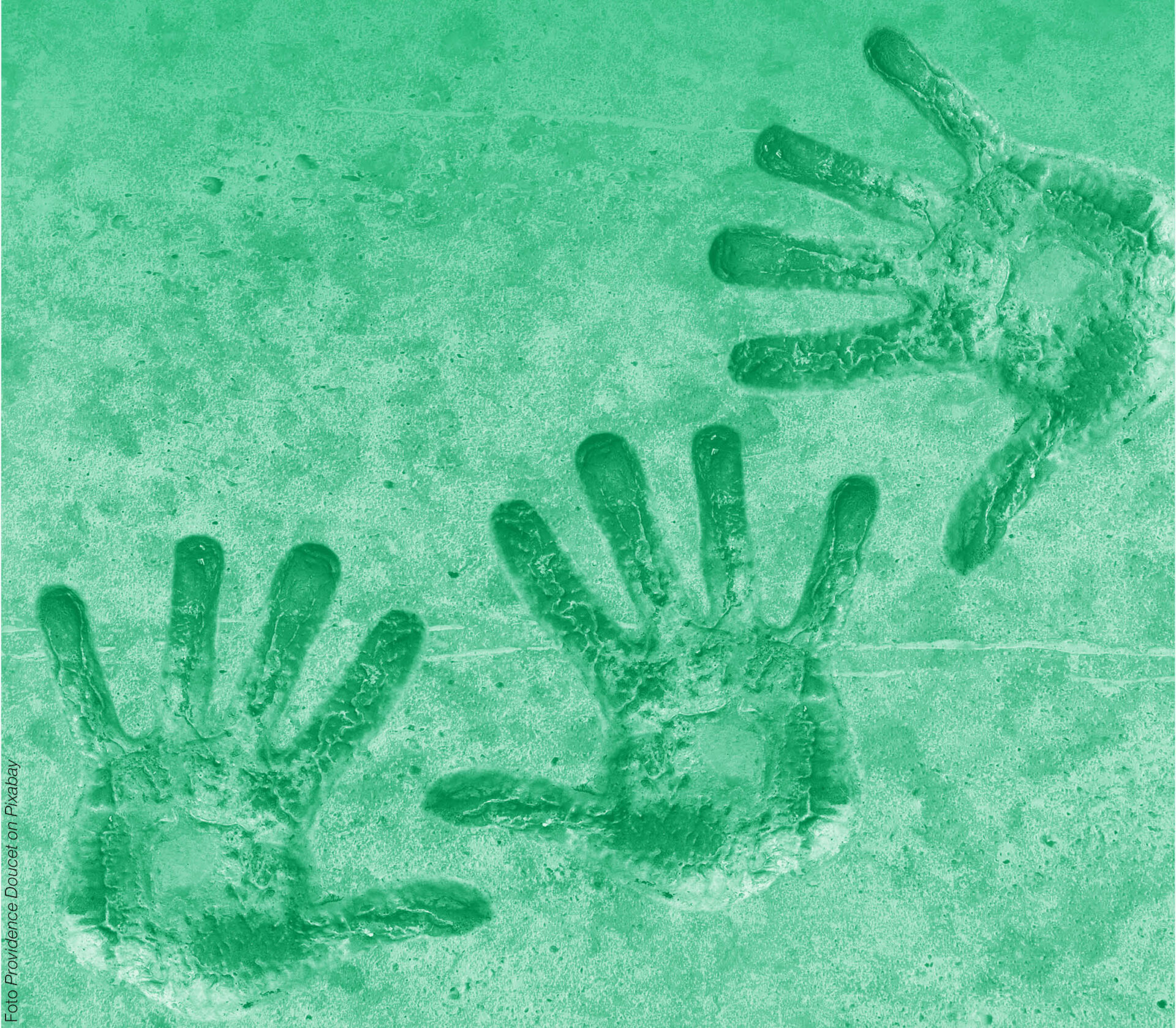 Scopri di più sull'articolo “Insieme e non soli”