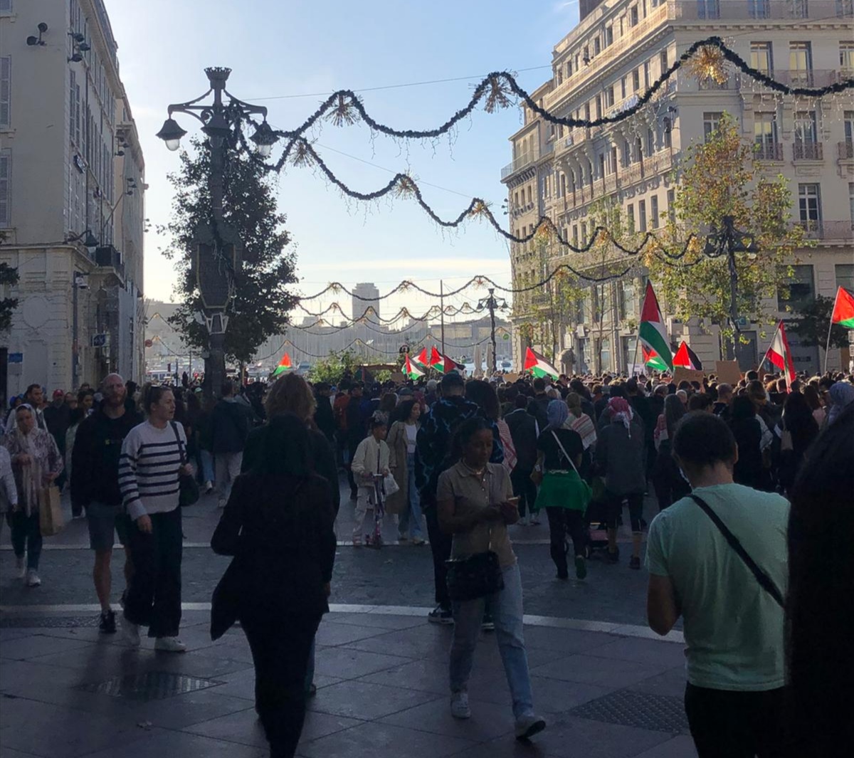 Scopri di più sull'articolo Confitto Israele-Palestina: le manifestazioni pro-Palestina e le loro conseguenze