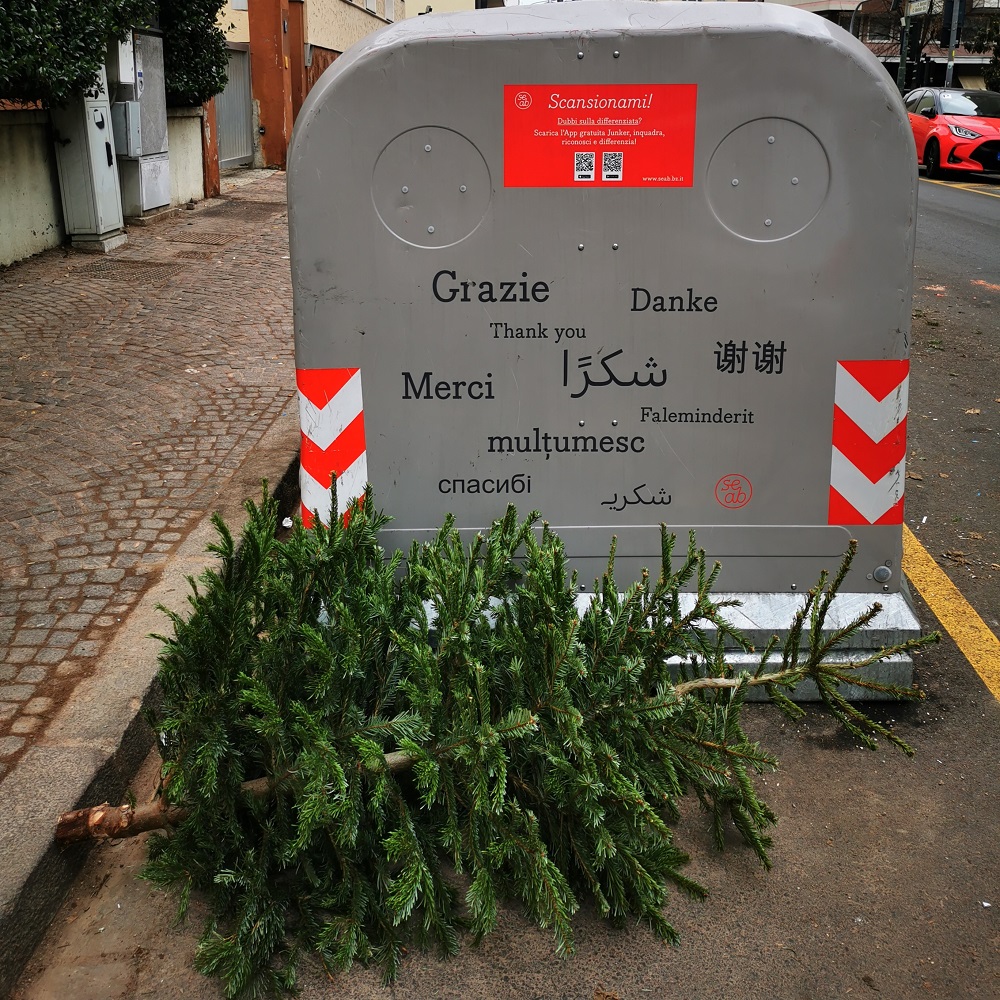 Mehr über den Artikel erfahren Dal 3 gennaio 2024 SEAB raccoglie gli alberi di Natale