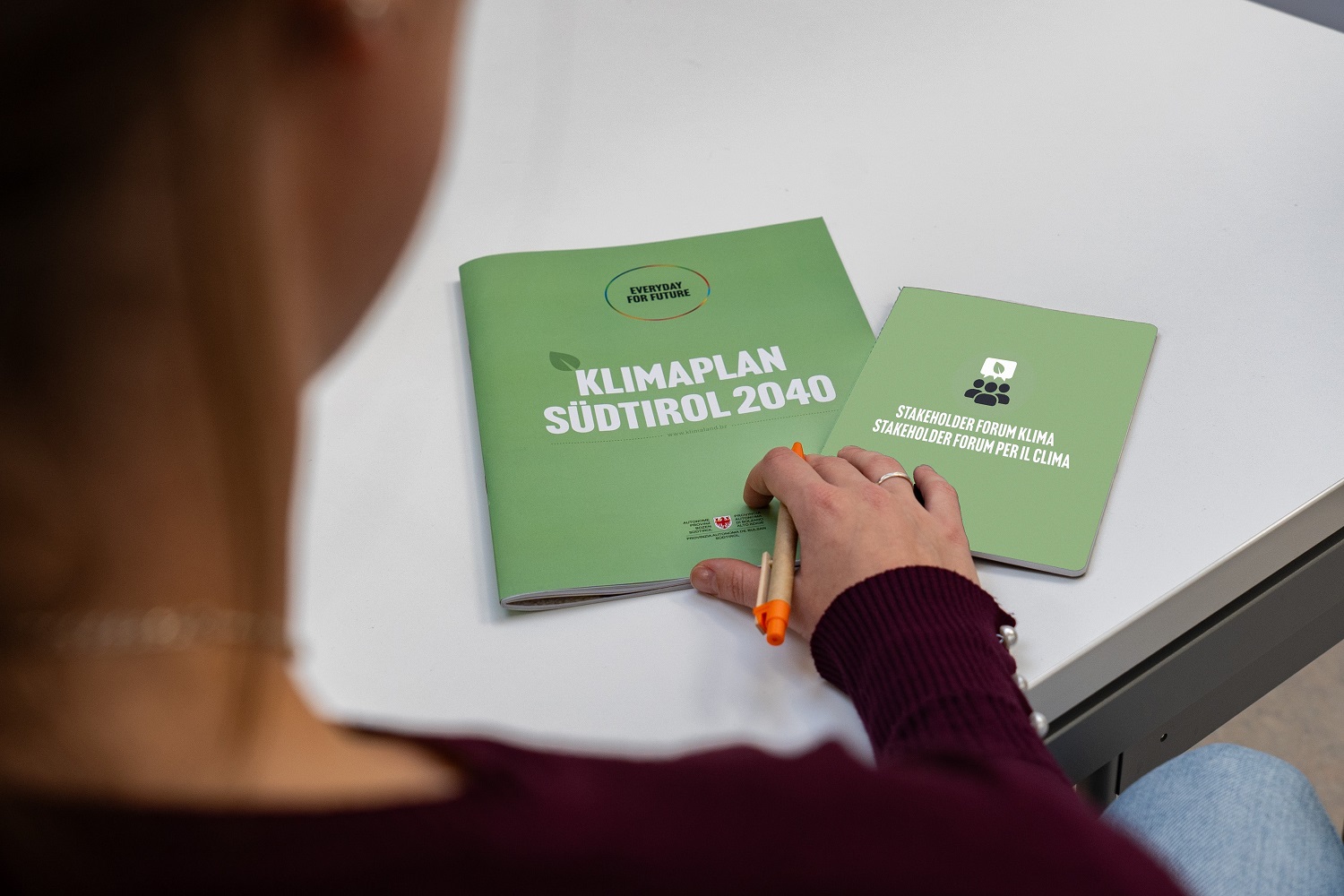 Scopri di più sull'articolo Cercasi esperte ed esperti per lo Stakeholder Forum per il Clima
