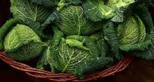 Scopri di più sull'articolo Alimentazione, innumerevoli i benefici delle verdure invernali