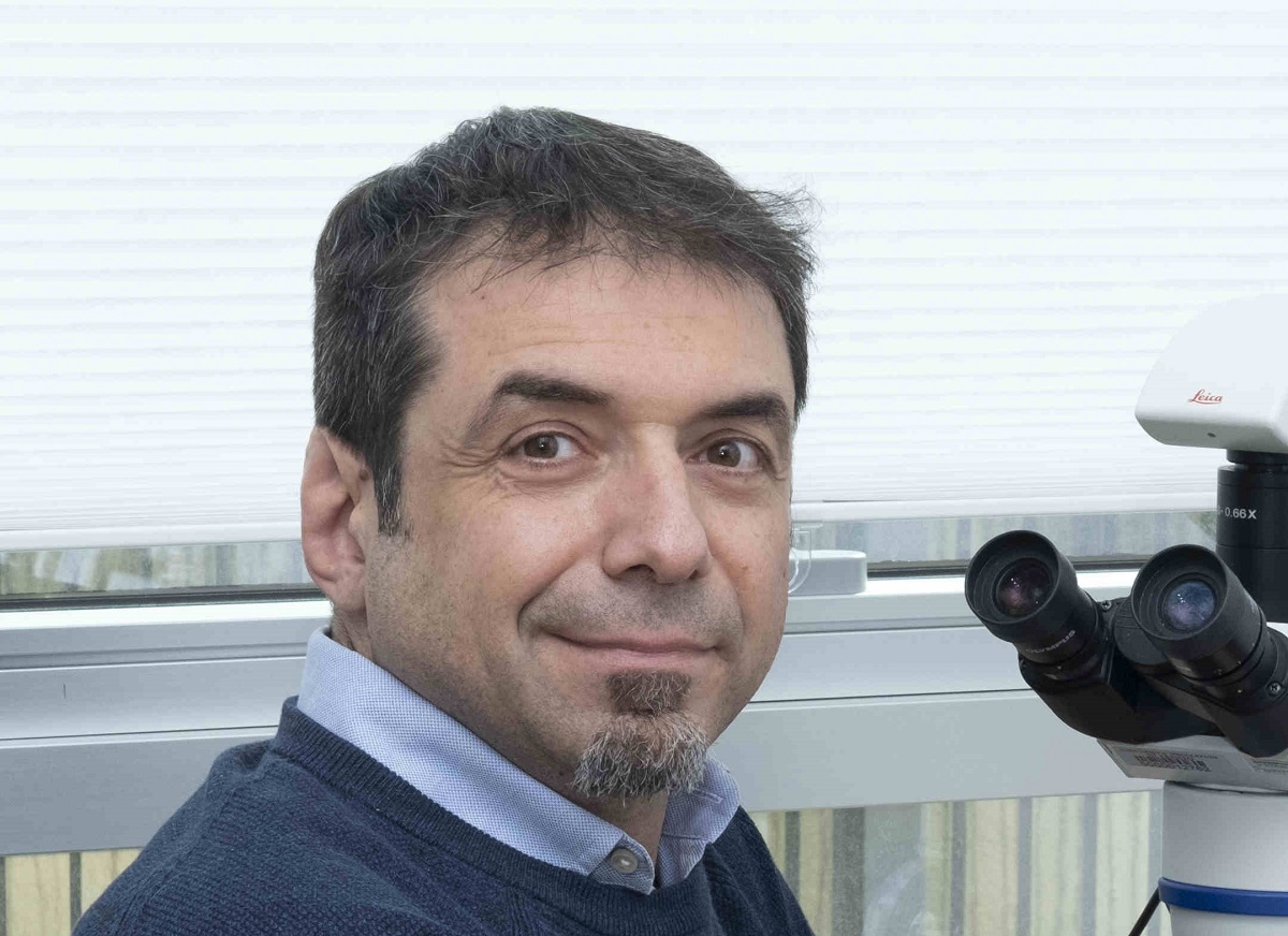 Scopri di più sull'articolo All’Università di Trento individuata la proteina per combattere il tumore al fegato
