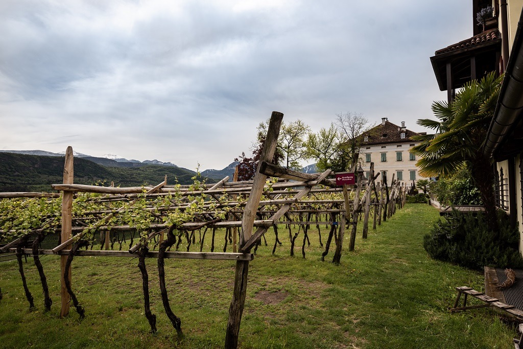 Scopri di più sull'articolo Kalterer Weinwandertag im Weinmuseum