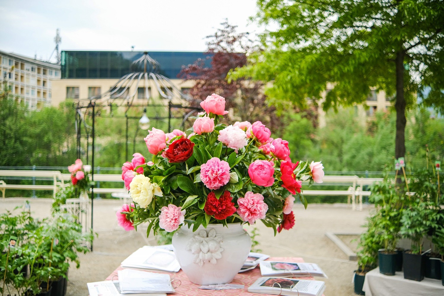 Mehr über den Artikel erfahren 7. Auflage des Merano Flower Festival