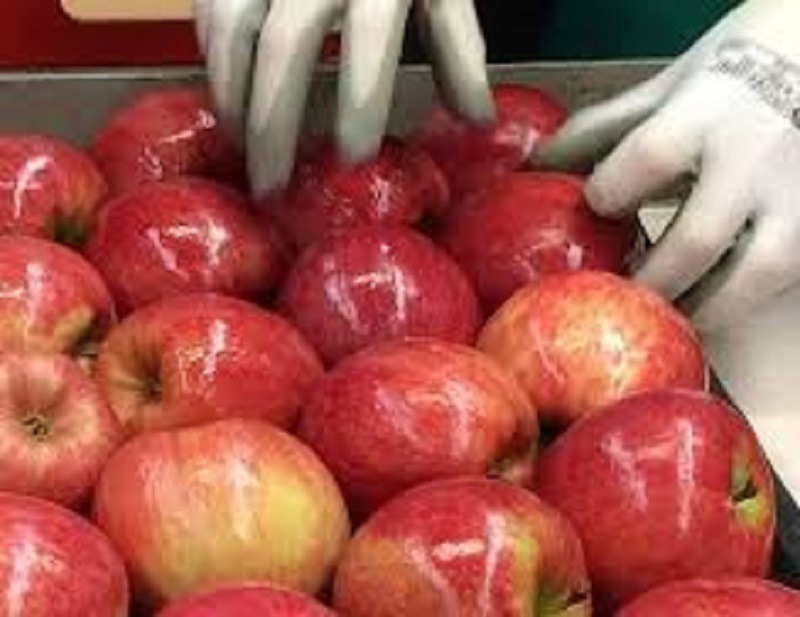 Mehr über den Artikel erfahren Clima di fiducia positivo tra le cooperative agricole altoatesine