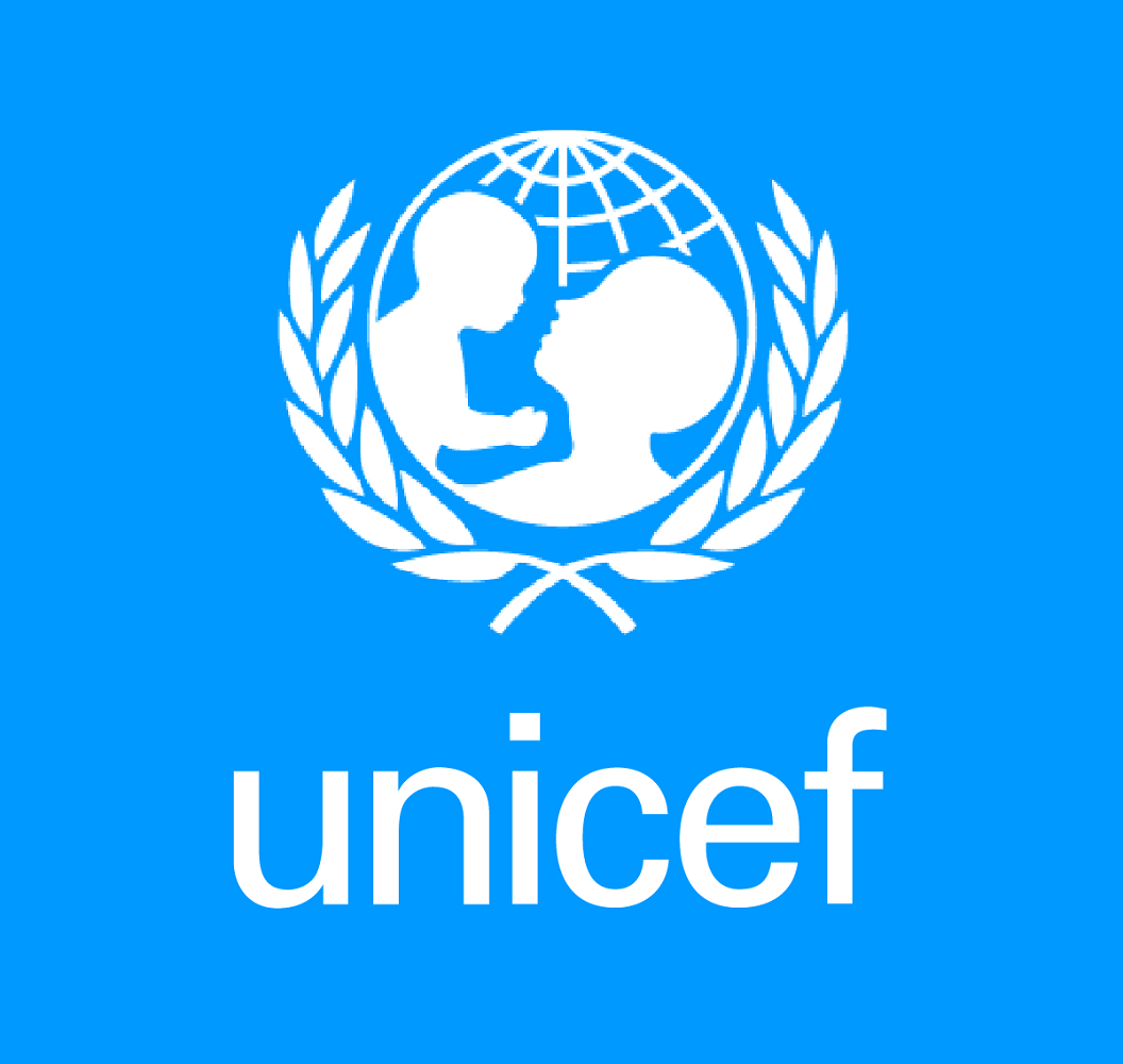 Scopri di più sull'articolo UNICEF/Elezioni Europee, lanciato Manifesto e i risultati del sondaggio sui giovani