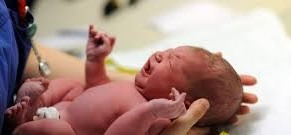 Mehr über den Artikel erfahren Alto Adige, un’ostetrica per ogni bambina!