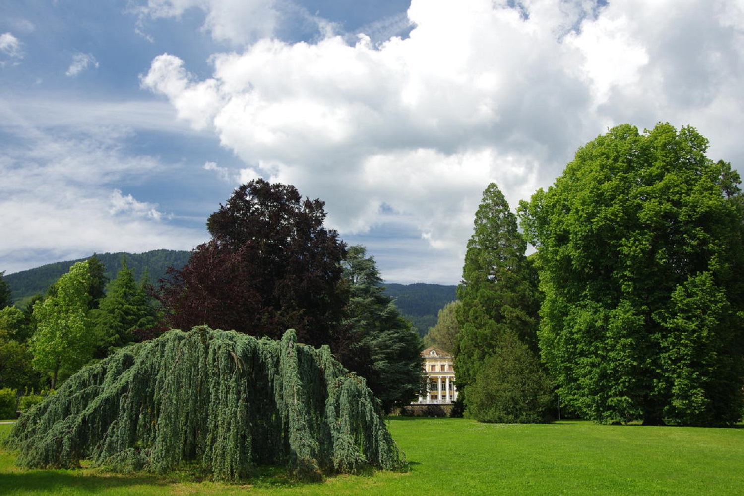 Scopri di più sull'articolo “Vivere il Parco 2024”, il programma