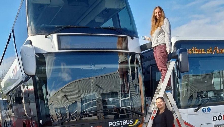 Scopri di più sull'articolo Postbusse sammeln österreichweit Insekten für Artenvielfalt-Projekt