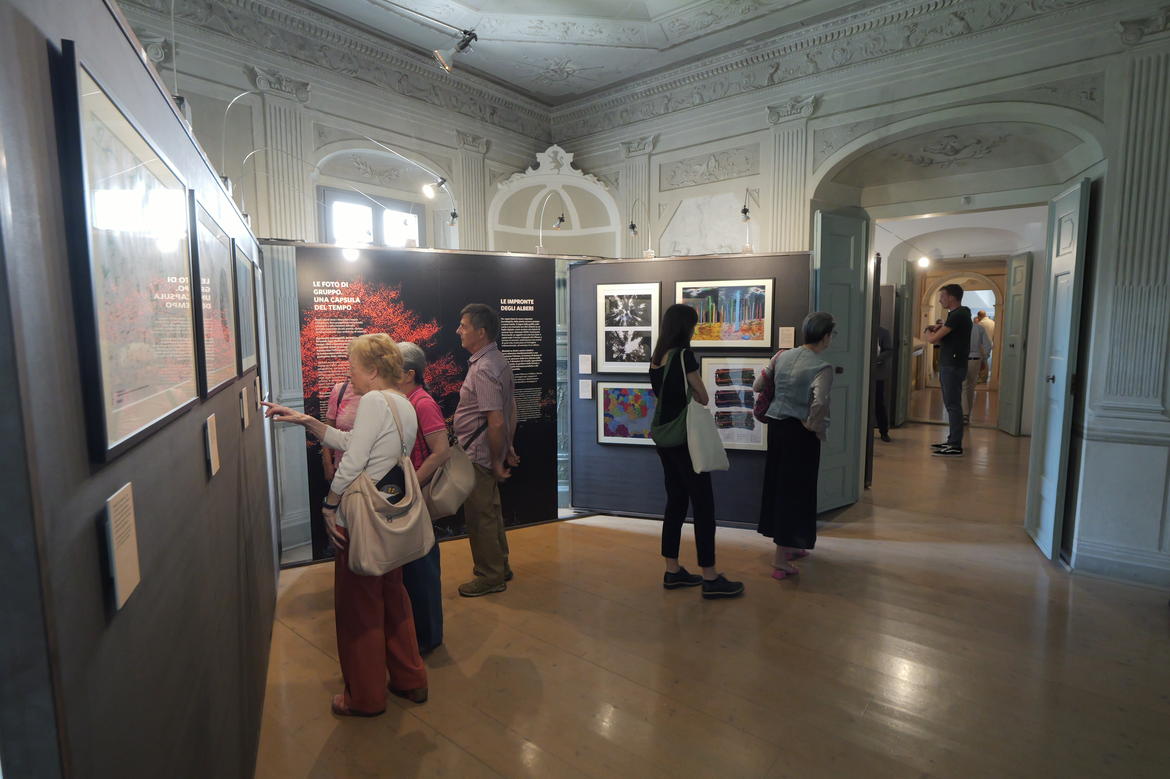 Scopri di più sull'articolo Inaugurata a Brentonico la mostra “Impronte – Noi e le piante”