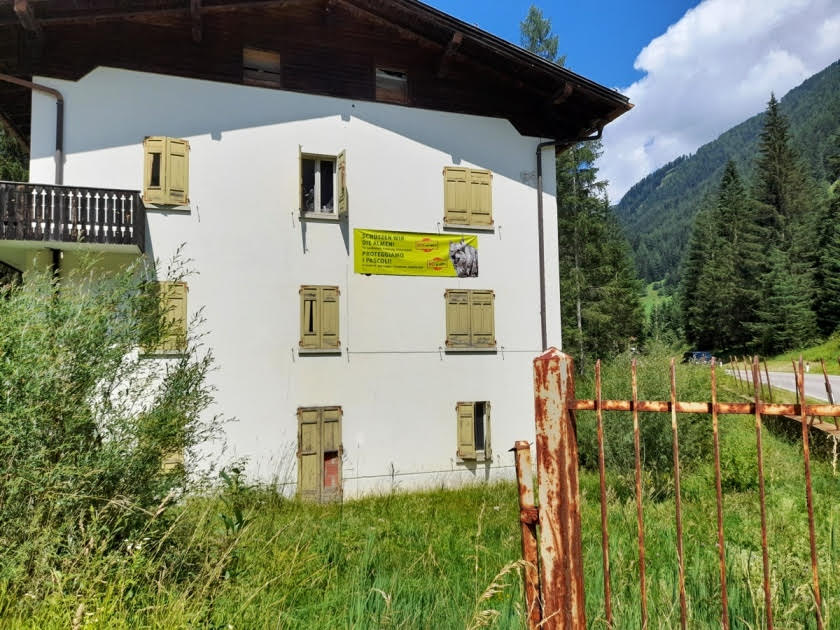 Mehr über den Artikel erfahren Striscioni anti-lupo illegittimi, in arrivo sanzioni in Alto Adige