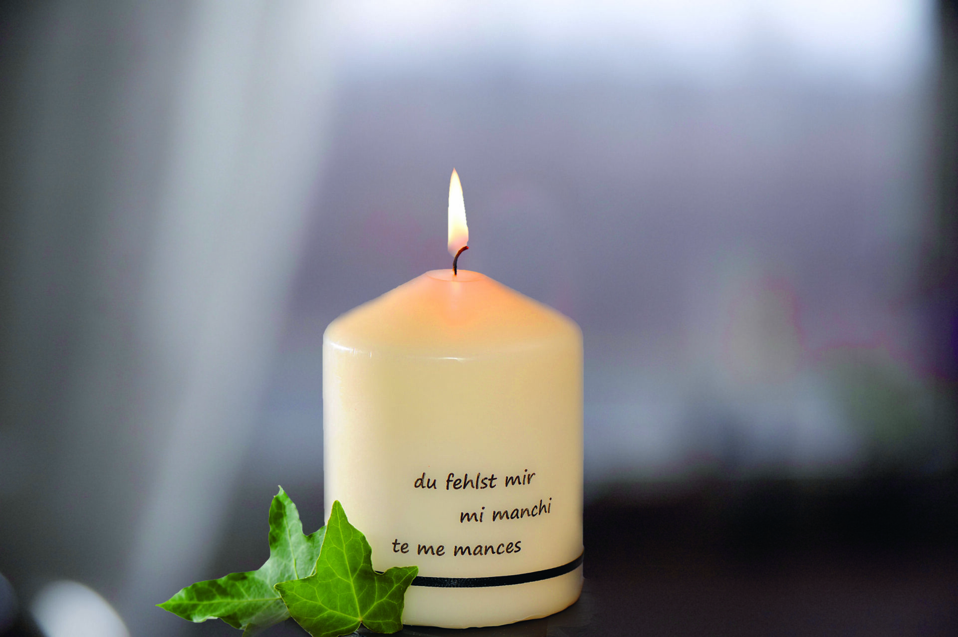 Mehr über den Artikel erfahren Allerheiligen: „In der Trauer nicht allein“