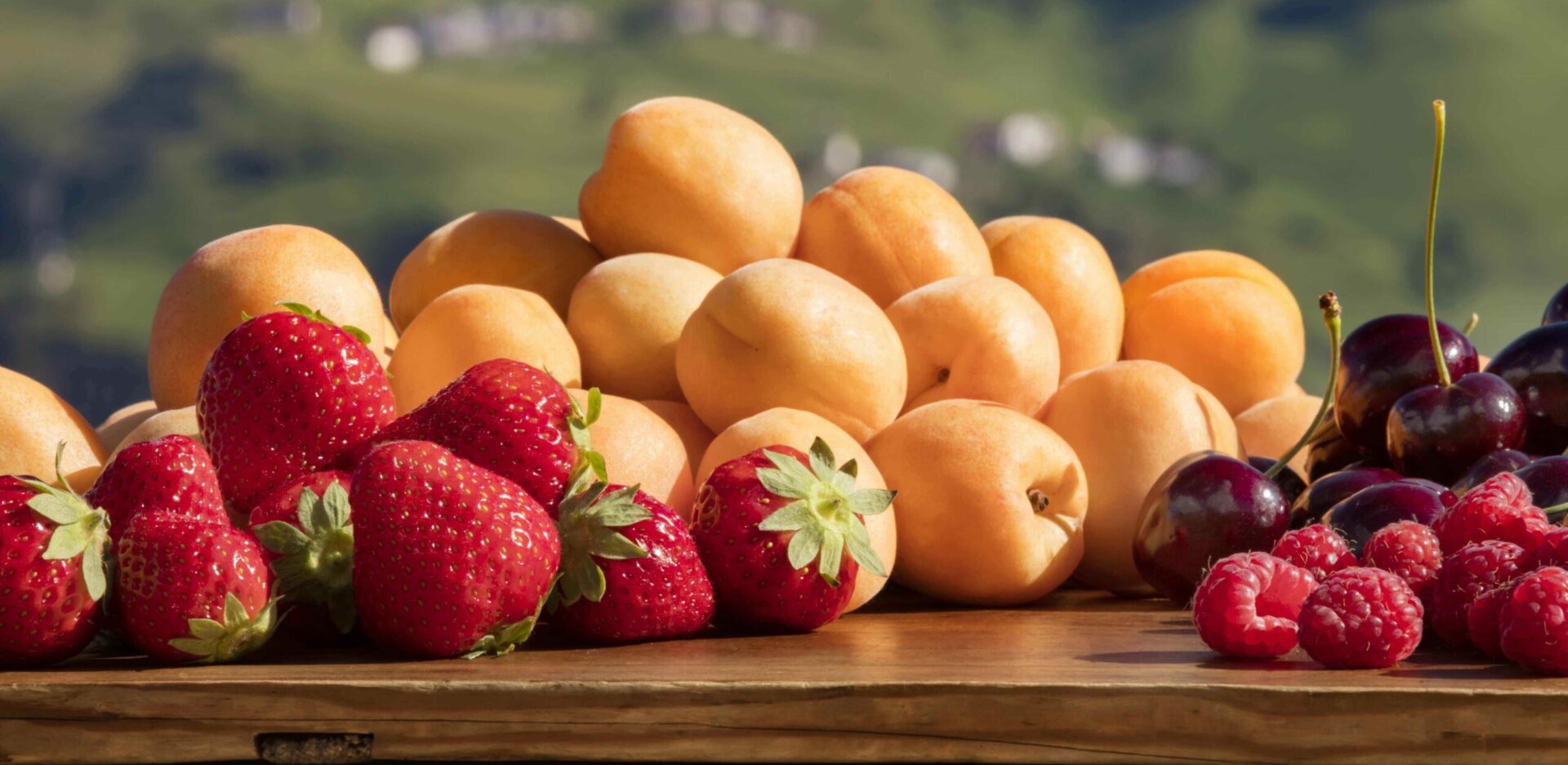 Scopri di più sull'articolo Alto Adige. Stagione di vendita tra alti e bassi per i piccoli frutti e quelli a nocciolo