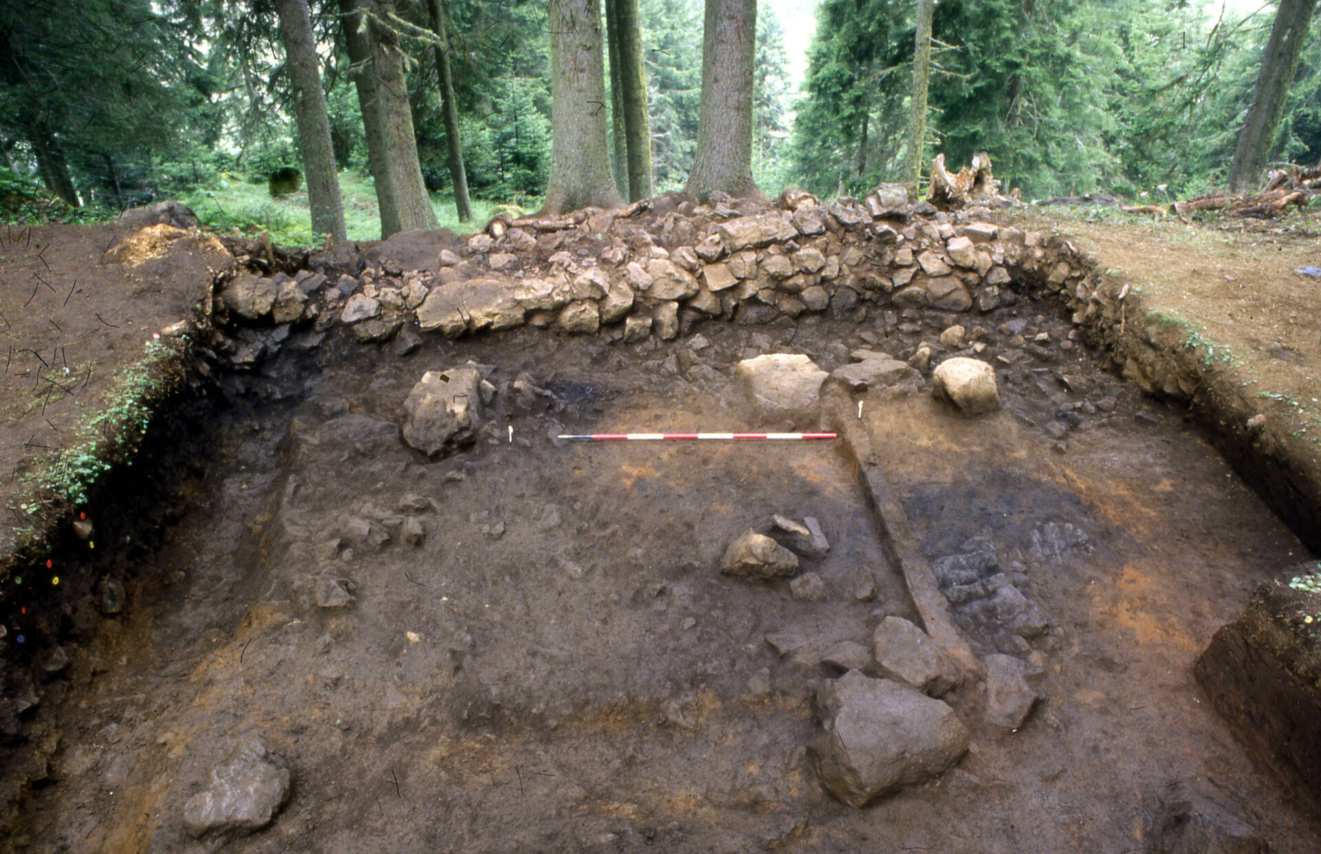 Scopri di più sull'articolo Valorizzazione del sito archeologico Doss di Pigui, in Val di Fassa testimonianza antica civiltà ladina