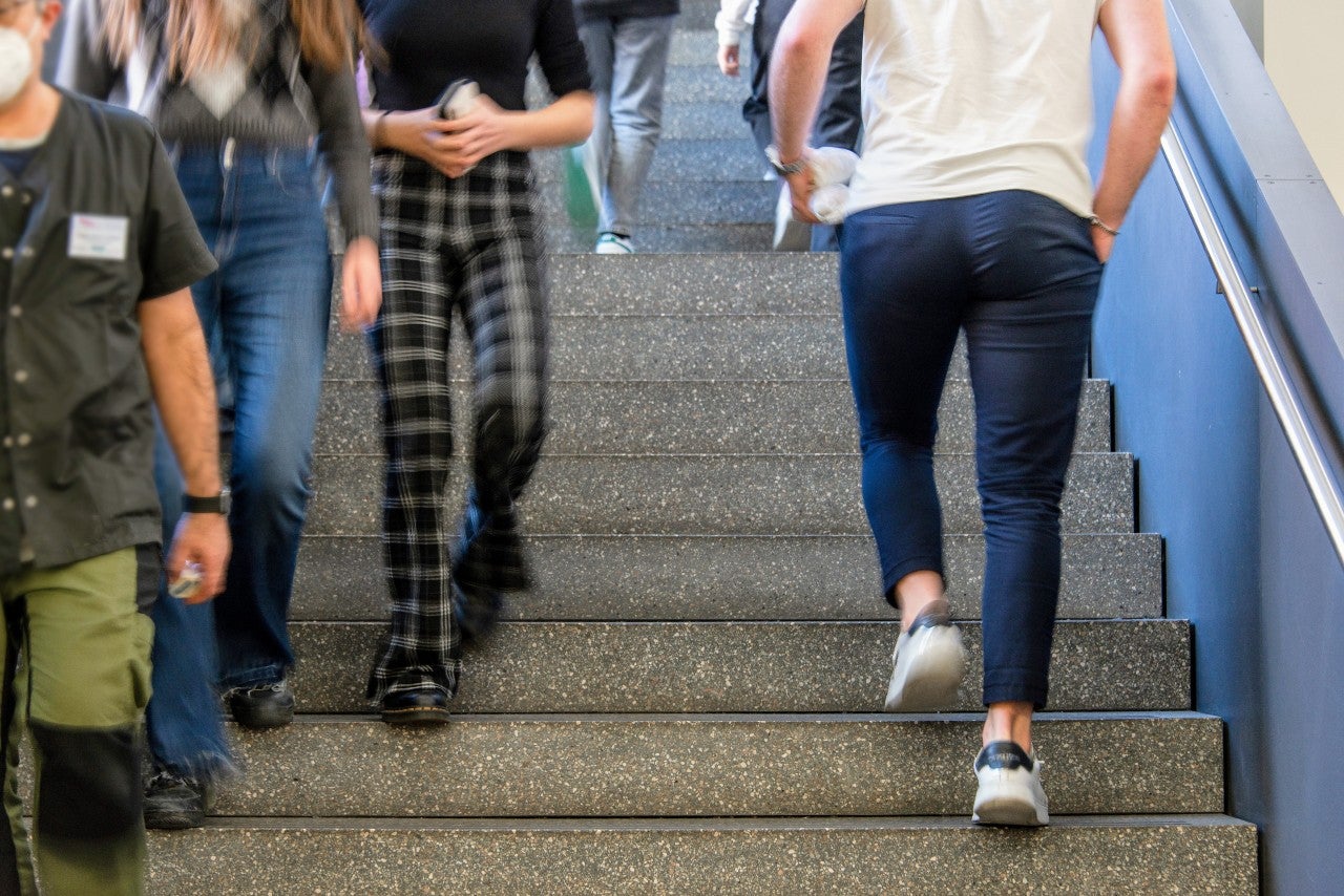 Scopri di più sull'articolo Bullismo e cyberbullismo, ruolo attivo delle scuole altoatesine